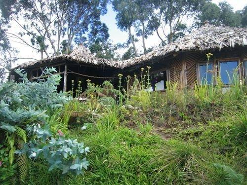 Mount Kilimanjaro View Lodge 2