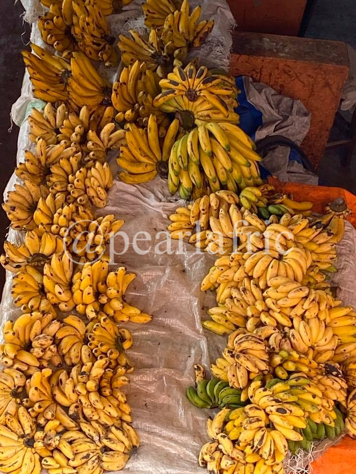Pearl Afric Tours and Travel 5