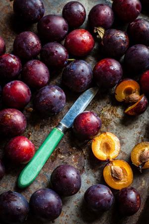 Plum Tree 2