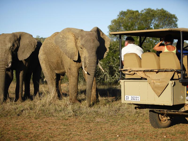 Nelson Mandela Bay Tourism 3