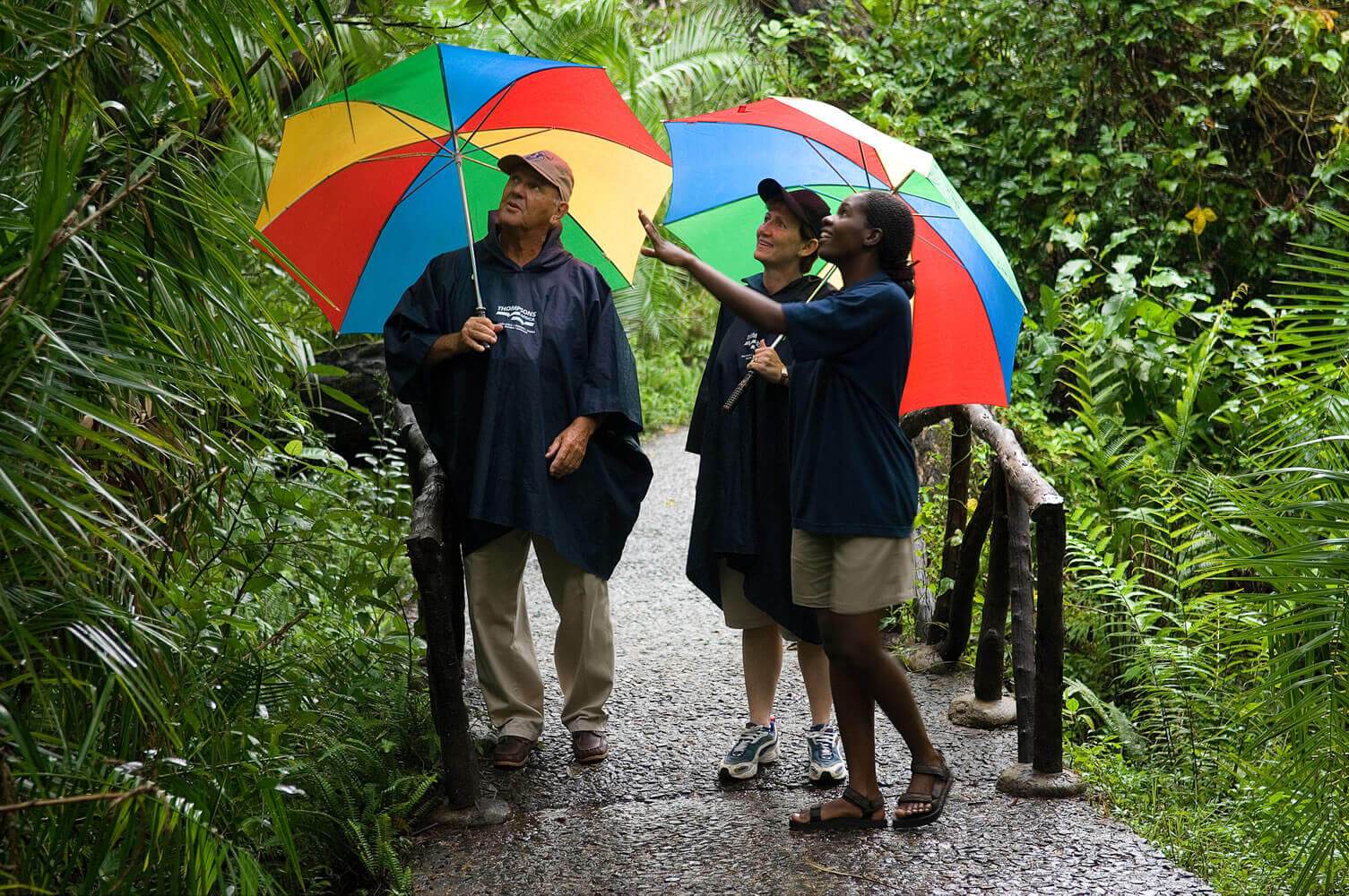 Rain Forest Tour - Victoria Falls