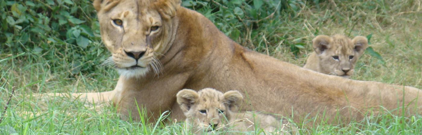 Lake Amboseli 3