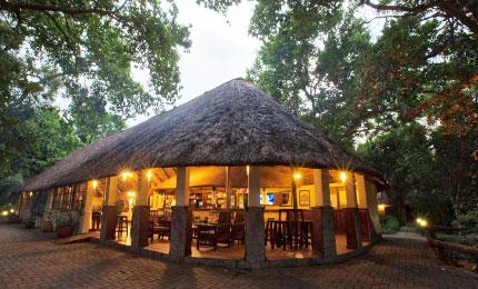 Island Safari Lodge