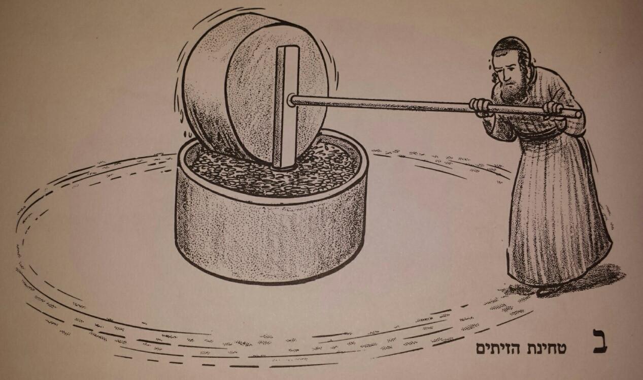 Olive Press 2