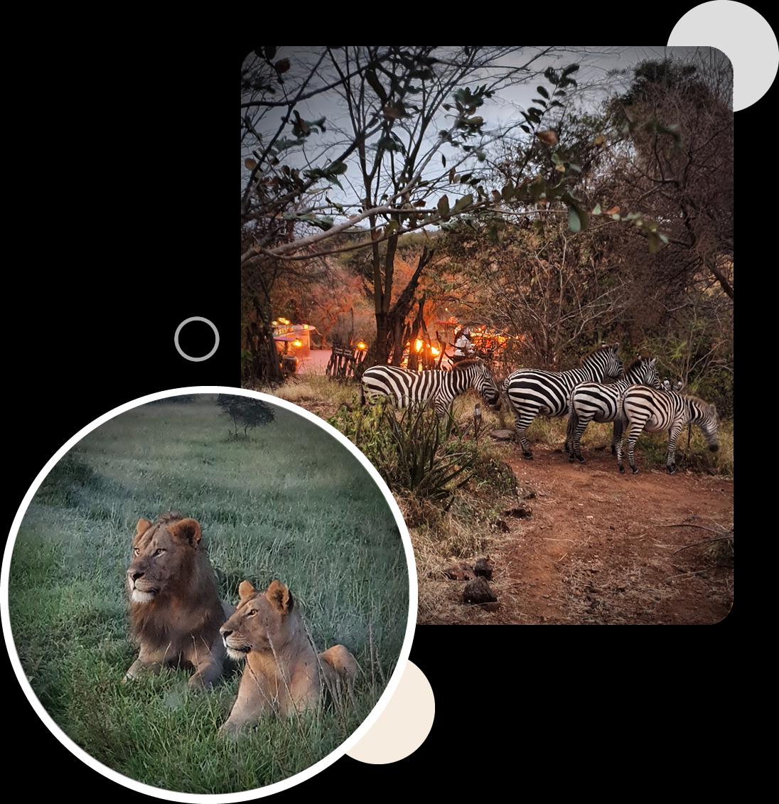 Mbalageti Tented Camp