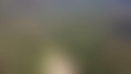 Ngong Road Forest 3