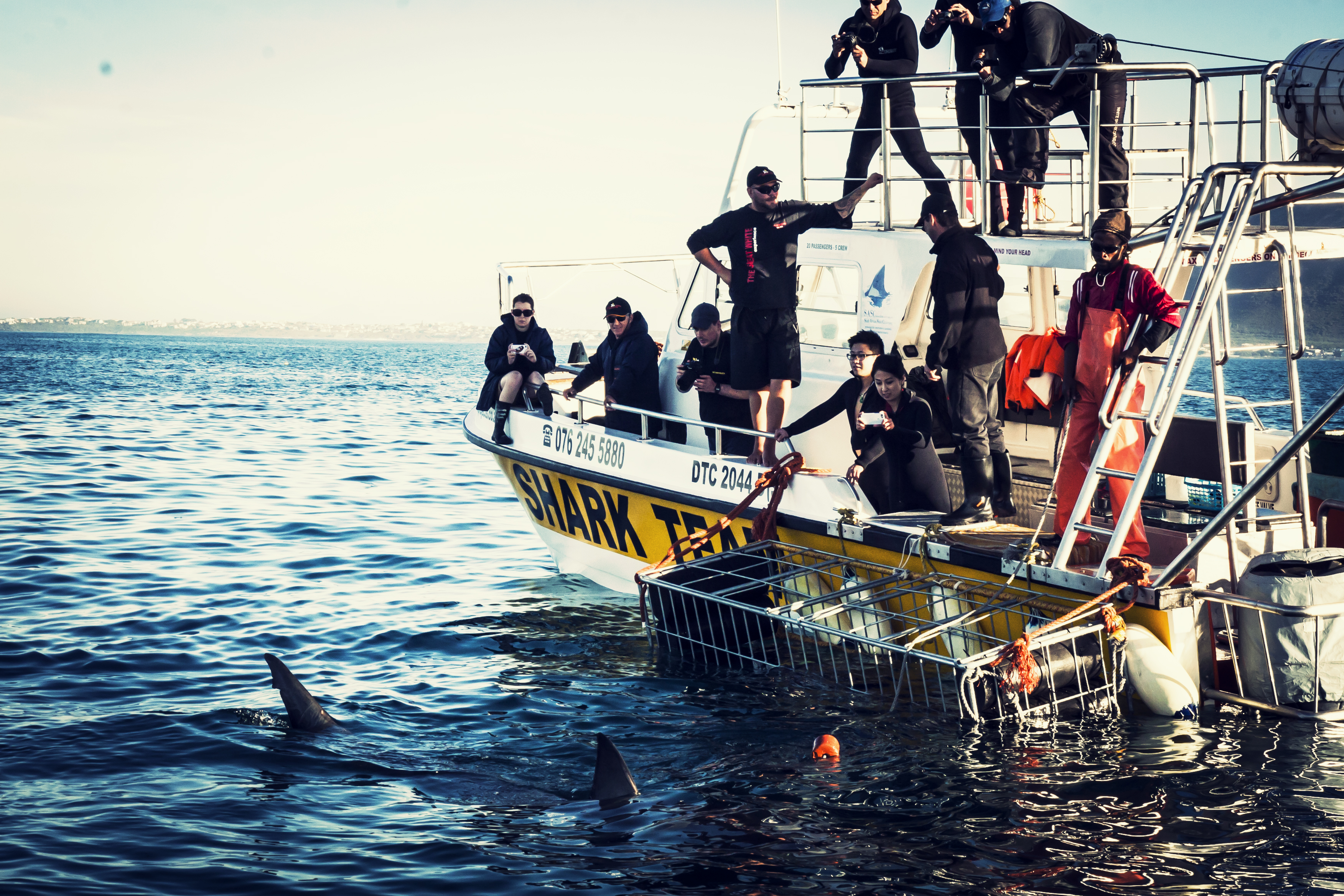 White Shark Projects