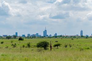 Ole-Sereni Hotel 4