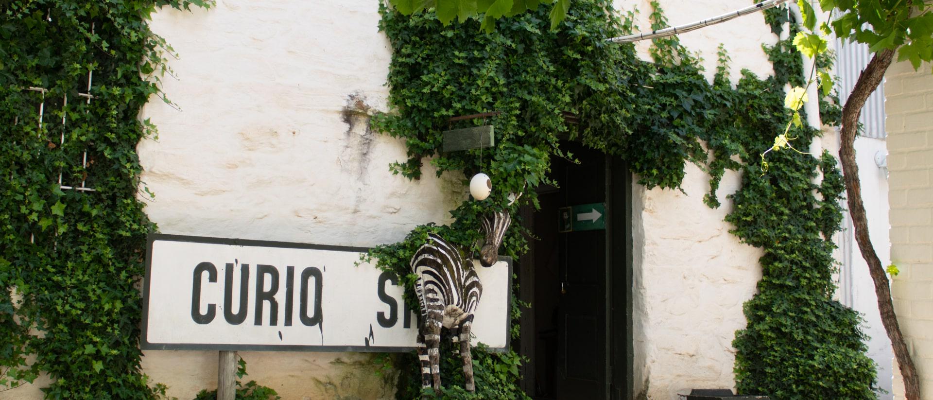 Cango Ostrich Farm 4