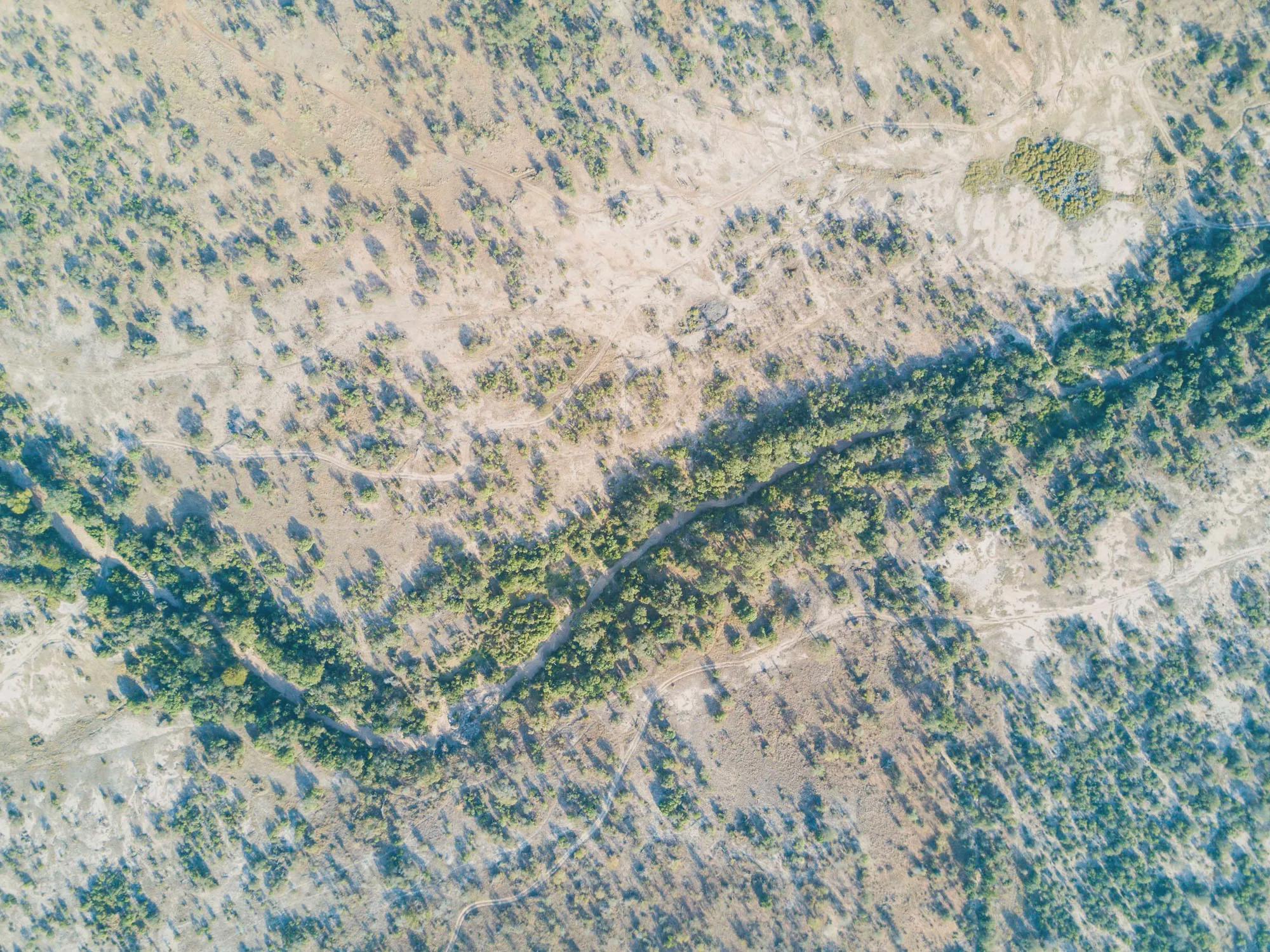 Timbavati Picnic Area 2