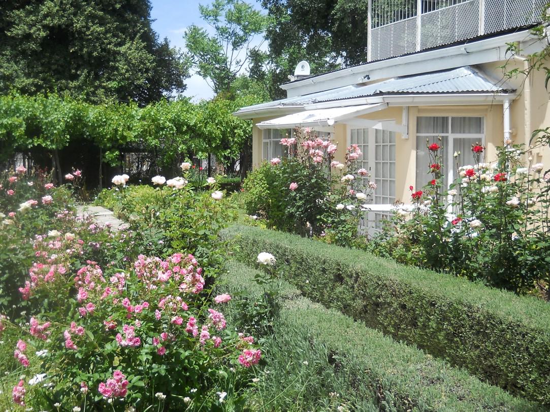 Albert House B&B