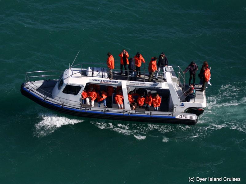 Dyer Island Cruises (Pty) Ltd 5