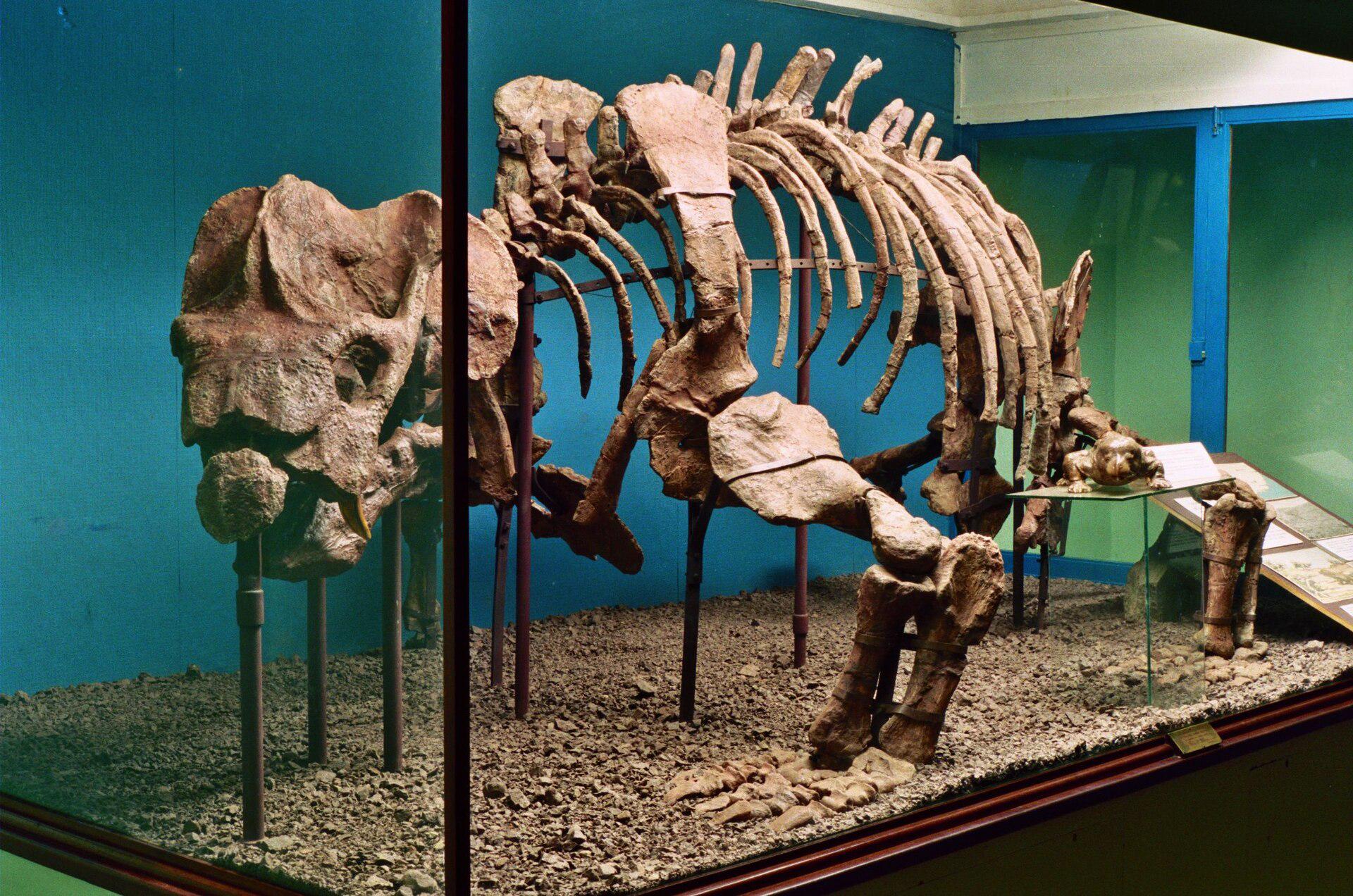 East London Museum