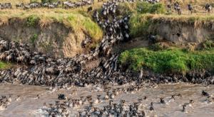 Best Serengeti Safari Tours 2026-2027