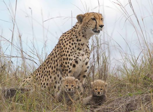 Arusha Trips 2
