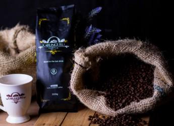 Karunguru Coffee Estate 5