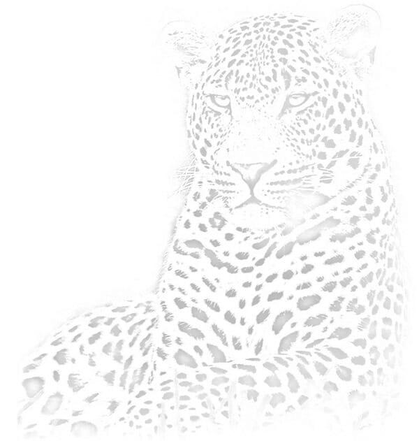 Londolozi Game Reserve