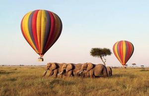 Kenya Air Safaris