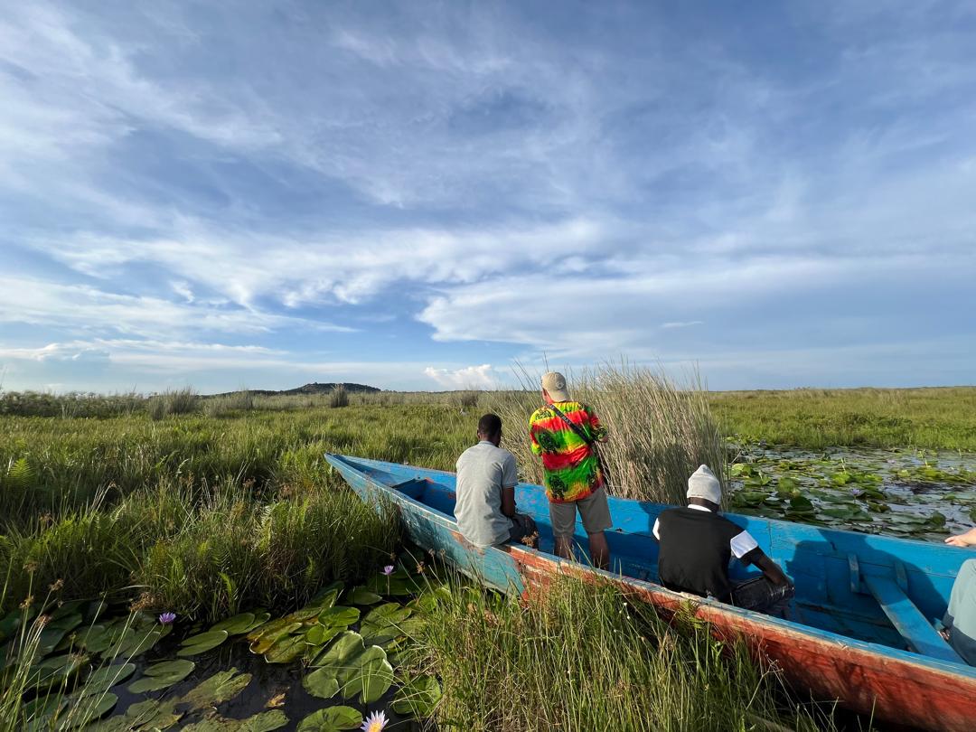 Mabamba Swamp
