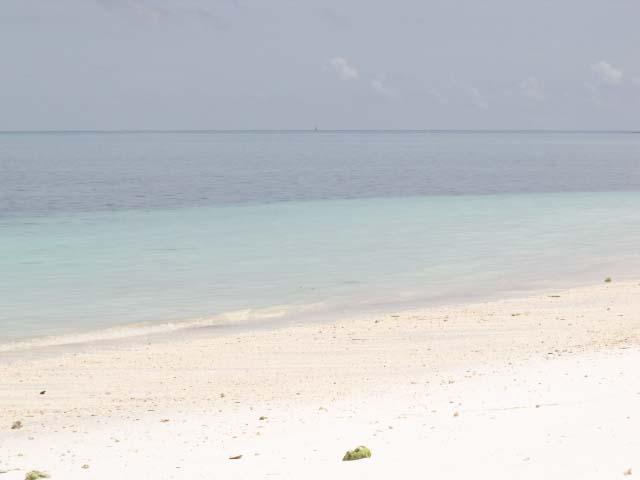Safina Bungalows