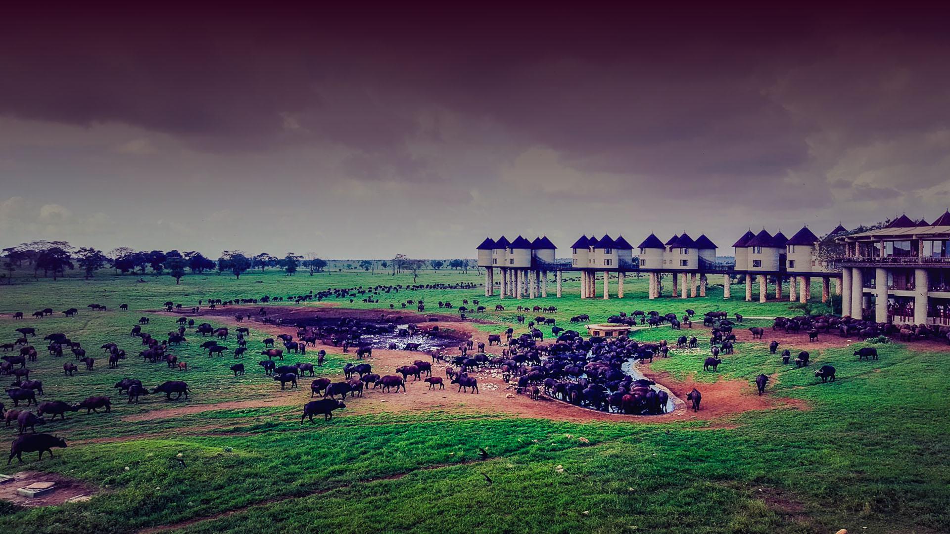 Taita Hills WWI Museum 5