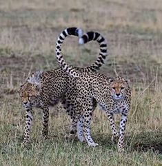 Arusha Trips 3