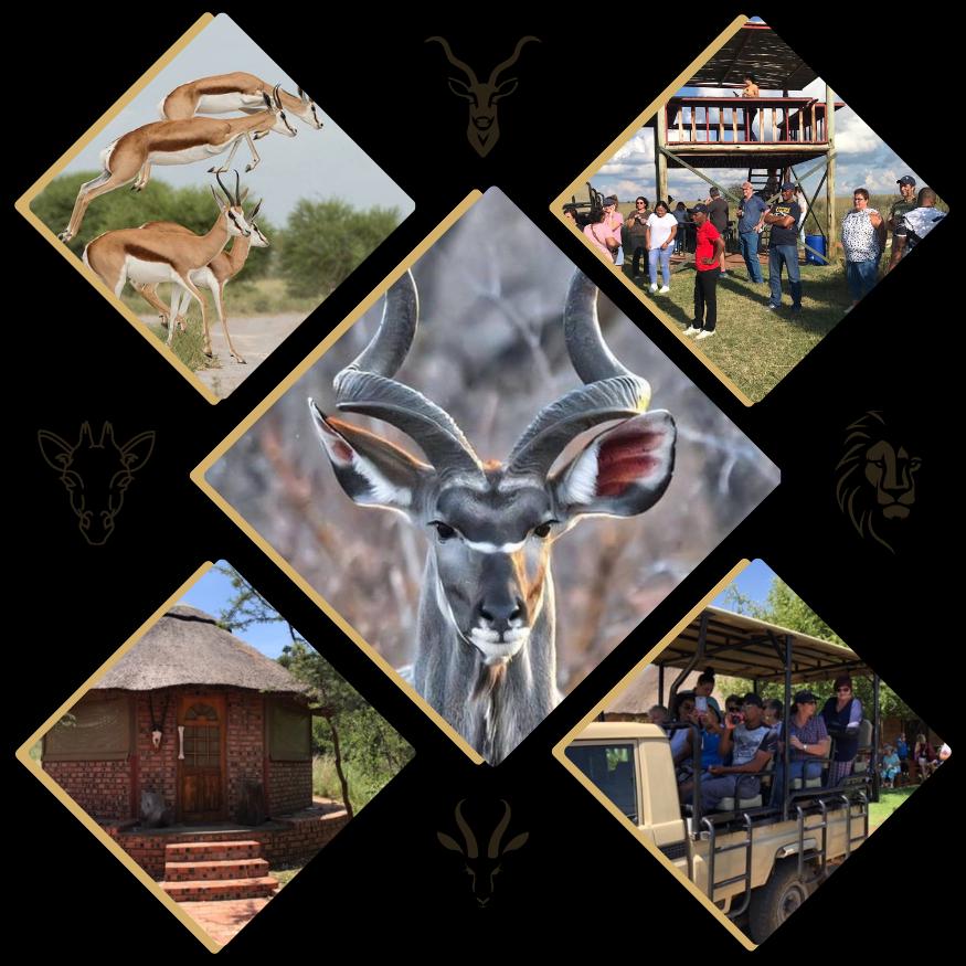 Weltevreden Game Lodge
