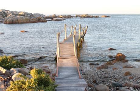 Sea Shack