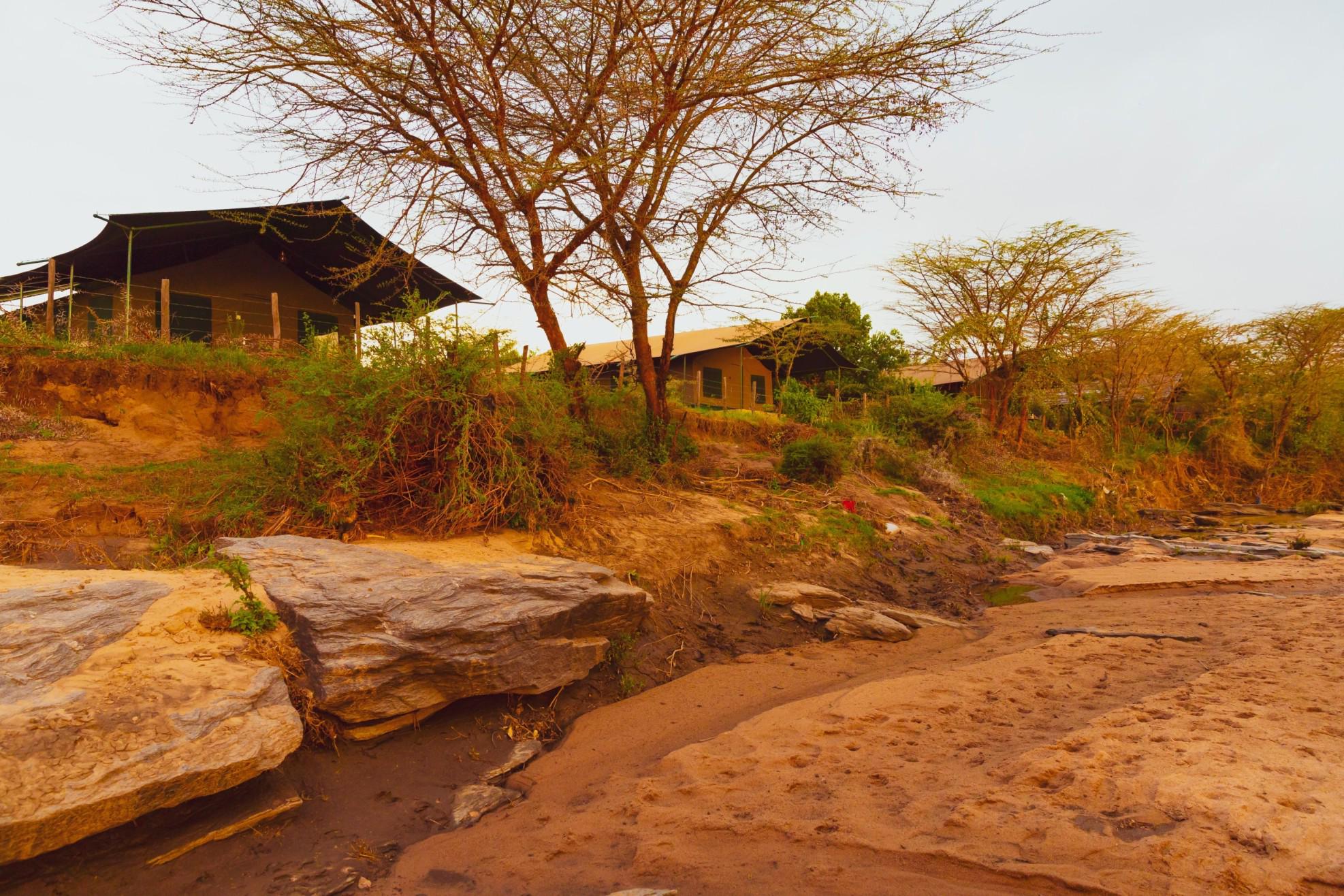 Mara Bush Camp