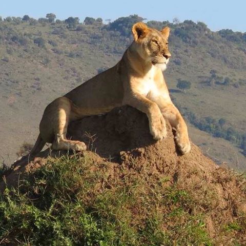 Arusha Trips 4