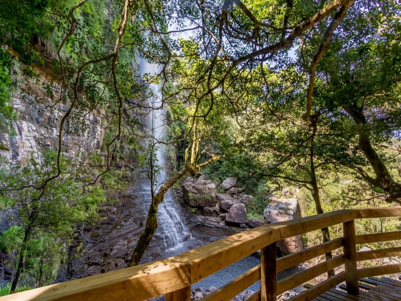 Graskop Gorge Lift Co. 5