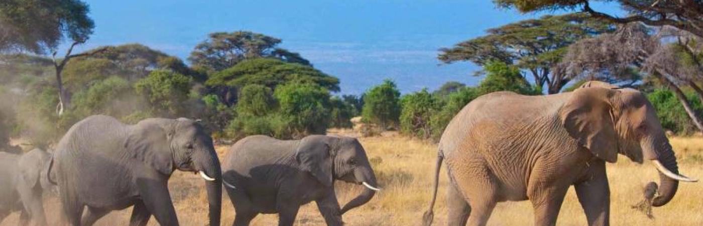 Lake Amboseli 4